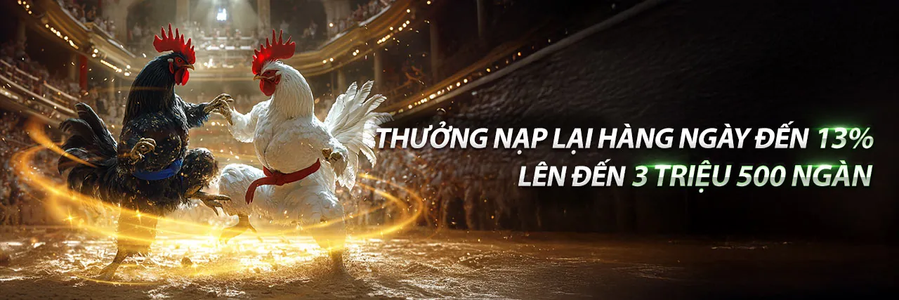 Logo thương hiệu CS88 nổi bật với sắc đỏ vàng sang trọng
